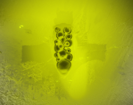 {{brizy_dc_image_alt imageSrc=