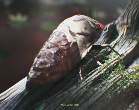 {{brizy_dc_image_alt imageSrc=